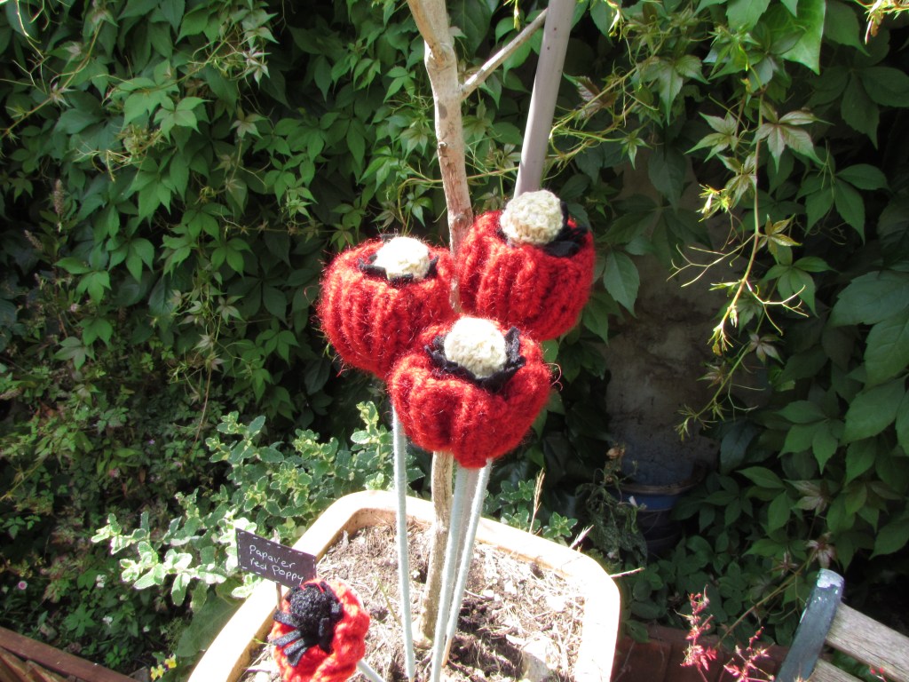Knitted poppies